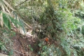 DSCN8189