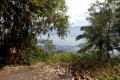 DSCN8190