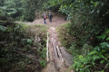 Gunung Besar Hantu - on the trail from Kenaboi towards Sungai Kering (Dan Quinn, August 2024)