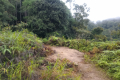 Gunung Besar Hantu - at Kem Orkid (Dan Quinn, August 2024)
