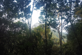 Gunung Besar Hantu -a view to Kecil Hantu (Dan Quinn, August 2024)
