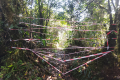Gunung Besar Hantu - trail to Kecil Hantu closed (Dan Quinn, August 2024)