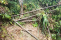 Gunung Besar Hantu - the remains of the beirut at the summit (Dan Quinn, August 2024)