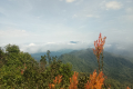 Gunung Besar Hantu - view from the summit (Dan Quinn, August 2024)