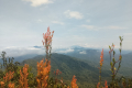 Gunung Besar Hantu - view from the summit (Dan Quinn, August 2024)
