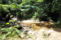 Gunung Besar Hantu - back down at Sungai Kering (Dan Quinn, August 2024)