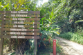 Gunung Besar Hantu - at the trailhead (Dan Quinn, August 2024)