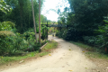Gunung Besar Hantu - at the trailhead (Dan Quinn, August 2024)