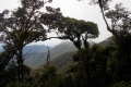 Gunung Irau - View from near the entrance for the Mossy Forest (Dan Quinn, January 2019)