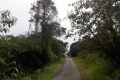 Gunung Irau - The road between the Mossy Forest and Brinchang summit compound (Dan Quinn, January 2019)
