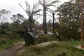 Gunung Irau - minor viewpoint near Brinchang summit compound (Dan Quinn, January 2019)