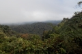 Gunung Irau - minor viewpoint near Brinchang summit compound (Dan Quinn, January 2019)