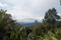 Gunung Irau - minor viewpoint near Brinchang summit compound (Dan Quinn, January 2019)