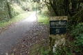 Gunung Irau - road between Brinchang summit compound and Mossy Forest carpark (Dan Quinn, January 2019)