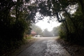 Gunung Irau - road between Brinchang summit compound and Mossy Forest carpark (Dan Quinn, January 2019)