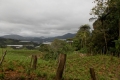 Gunung Irau - on the road back down from the Mossy Forest carpark via the tea plantation (Dan Quinn, January 2019)