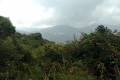 Gunung Berembun - View on a rainy day from the summit of one of Gunung Irau\'s neighbours in the Cameron Highlands (Dan Quinn, July 2023)