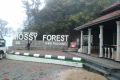 Gunung Irau - Mossy Forest entrance area (Dan Quinn, July 2024)