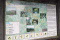 Gunung Irau - Mossy Forest entrance area (Dan Quinn, July 2024)