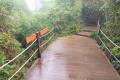 Gunung Irau - Mossy Forest boardwalk (Dan Quinn, July 2024)