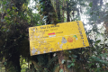 Gunung Irau - On the trail from the Mossy Forest (Dan Quinn, July 2024)