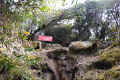 Gunung Irau - At Mini Irau (Dan Quinn, July 2024)