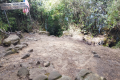 Gunung Irau - At Mini Irau (Dan Quinn, July 2024)