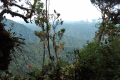 Gunung Irau - View beyond Mini Irau (Dan Quinn, July 2024)