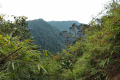 Gunung Irau - View beyond Mini Irau (Dan Quinn, July 2024)