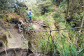 Gunung Irau - Trail beyond Mini Irau (Dan Quinn, July 2024)