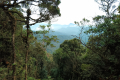 Gunung Irau - View beyond Mini Irau (Dan Quinn, July 2024)