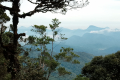 Gunung Irau - View of Titiwangsa mountains (Dan Quinn, July 2024)