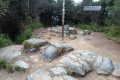 Gunung Irau - At the summit (Dan Quinn, July 2024)