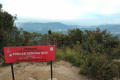 Gunung Irau - At the summit (Dan Quinn, July 2024)