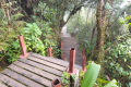 Gunung Irau - Back down at the boardwalk (Dan Quinn, July 2024)