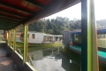 DSCN3734