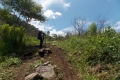 DSCN3895