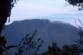 DSCN3965