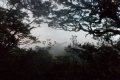 DSCN3968