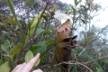 DSCN3982
