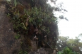 DSCN3996