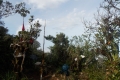 DSCN4032