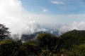 DSCN4067