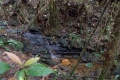 DSCN4088