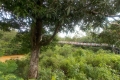 DSCN4107