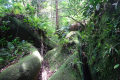 DSC07020
