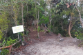 At the summit of Gunung Kerunai (Dan Quinn, July 2024)