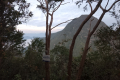 At the summit of Gunung Kerunai, looking to Kenderong (Dan Quinn, July 2024)
