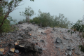 On the trail back down Gunung Kerunai (Dan Quinn, July 2024)