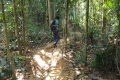 The trail up Gunung Alai (Dan Quinn, July 2024)
